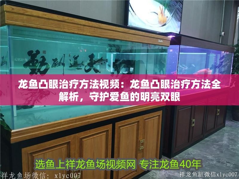 龍魚凸眼治療方法視頻：龍魚凸眼治療方法全解析，守護愛魚的明亮雙眼