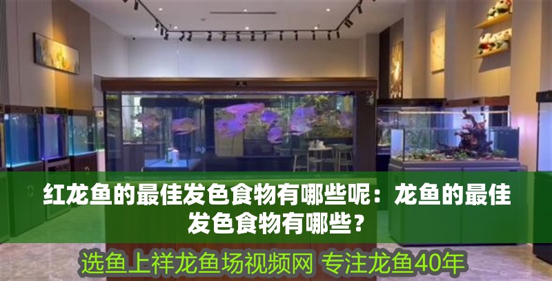 紅龍魚的最佳發色食物有哪些呢：龍魚的最佳發色食物有哪些？