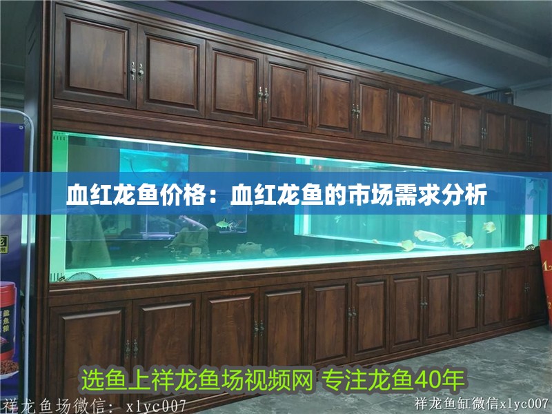 血紅龍魚價格：血紅龍魚的市場需求分析