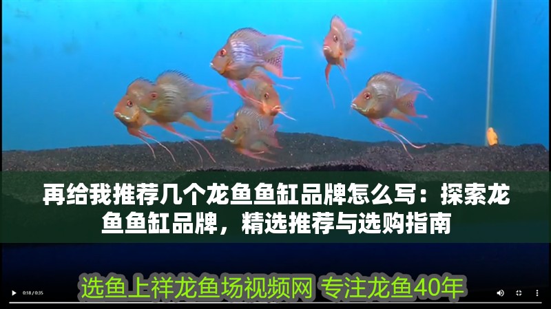 再給我推薦幾個龍魚魚缸品牌怎么寫：探索龍魚魚缸品牌，精選推薦與選購指南