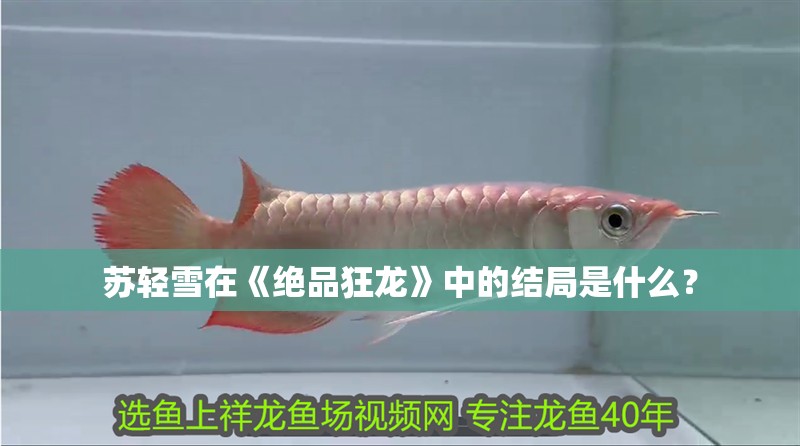 蘇輕雪在《絕品狂龍》中的結局是什么？