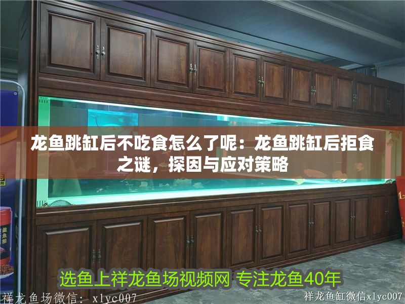 龍魚跳缸后不吃食怎么了呢：龍魚跳缸后拒食之謎，探因與應對策略