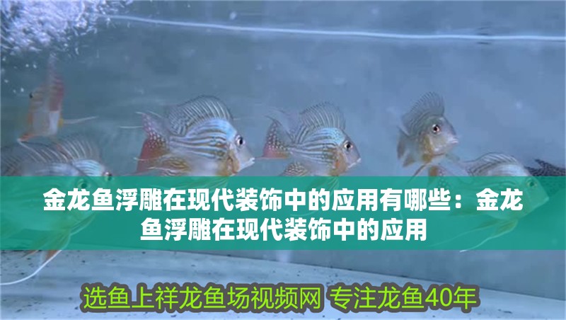 金龍魚浮雕在現(xiàn)代裝飾中的應用有哪些：金龍魚浮雕在現(xiàn)代裝飾中的應用