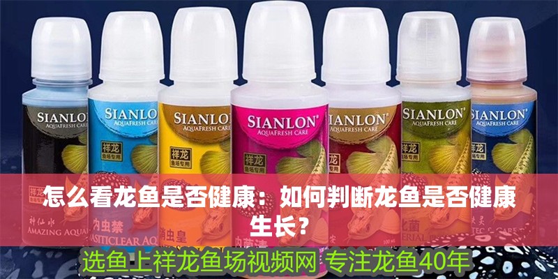 怎么看龍魚是否健康：如何判斷龍魚是否健康生長？