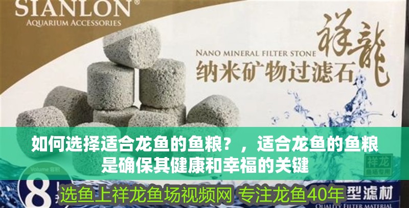 如何選擇適合龍魚的魚糧？，適合龍魚的魚糧是確保其健康和幸福的關鍵 如何選擇適合龍魚的魚糧？，適合龍魚的魚糧是確保其健康和幸福的關鍵 龍魚百科