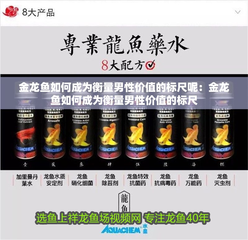 金龍魚如何成為衡量男性價值的標尺呢：金龍魚如何成為衡量男性價值的標尺