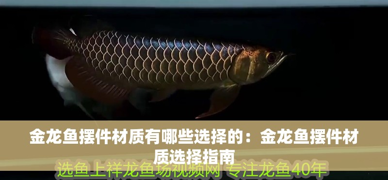 金龍魚擺件材質(zhì)有哪些選擇的：金龍魚擺件材質(zhì)選擇指南