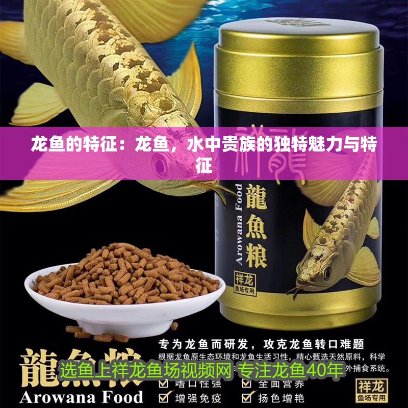 龍魚的特征：龍魚，水中貴族的獨(dú)特魅力與特征