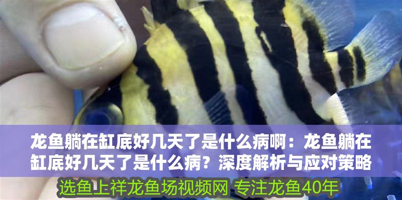 龍魚躺在缸底好幾天了是什么病啊：龍魚躺在缸底好幾天了是什么病？深度解析與應對策略