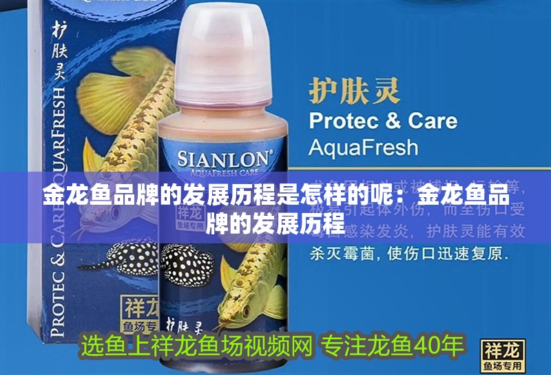 金龍魚品牌的發展歷程是怎樣的呢：金龍魚品牌的發展歷程