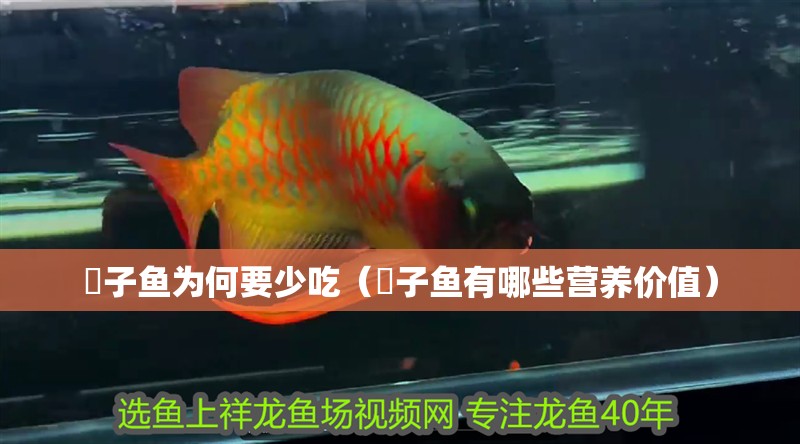 鲘子魚為何要少吃（鲘子魚有哪些營養價值）
