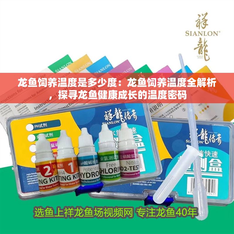 龍魚飼養(yǎng)溫度是多少度：龍魚飼養(yǎng)溫度全解析，探尋龍魚健康成長的溫度密碼