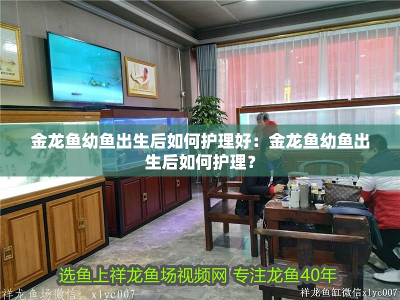 金龍魚幼魚出生后如何護理好：金龍魚幼魚出生后如何護理？