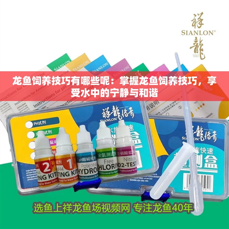 龍魚飼養技巧有哪些呢：掌握龍魚飼養技巧，享受水中的寧靜與和諧