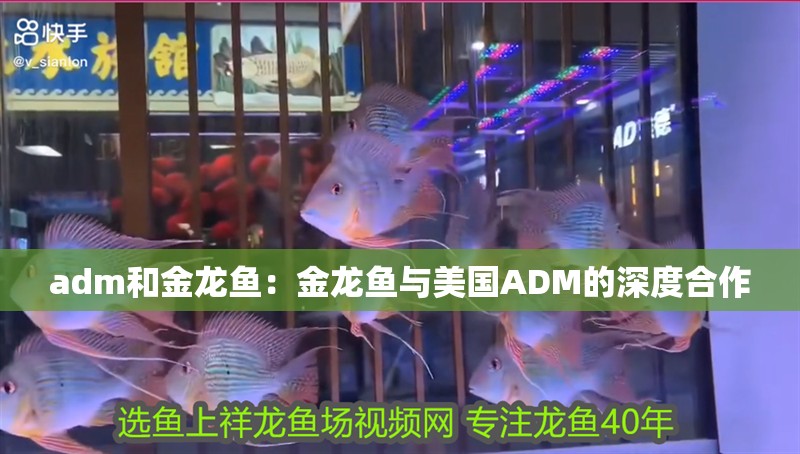 adm和金龍魚：金龍魚與美國ADM的深度合作