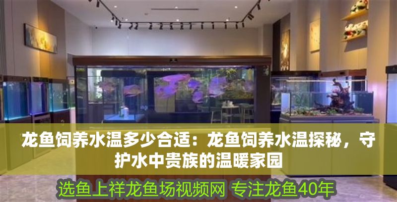 龍魚飼養水溫多少合適：龍魚飼養水溫探秘，守護水中貴族的溫暖家園