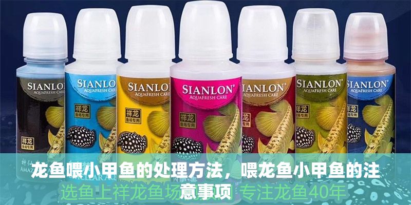 龍魚喂小甲魚的處理方法，喂龍魚小甲魚的注意事項