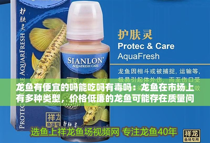 龍魚(yú)有便宜的嗎能吃嗎有毒嗎：龍魚(yú)在市場(chǎng)上有多種類(lèi)型，價(jià)格低廉的龍魚(yú)可能存在質(zhì)量問(wèn)題