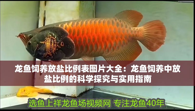 龍魚飼養放鹽比例表圖片大全：龍魚飼養中放鹽比例的科學探究與實用指南