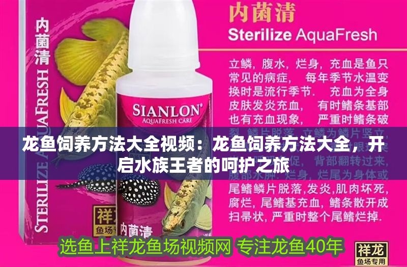 龍魚飼養方法大全視頻：龍魚飼養方法大全，開啟水族王者的呵護之旅