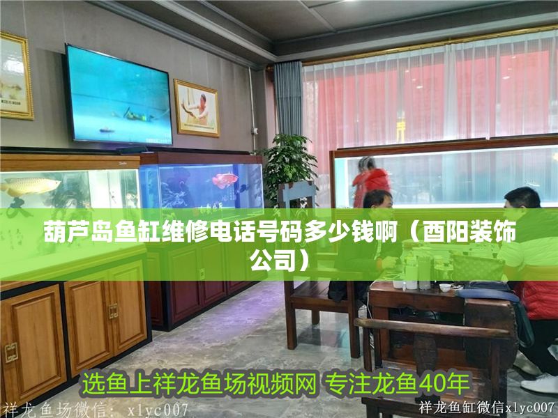 葫蘆島魚缸維修電話號(hào)碼多少錢啊（酉陽裝飾公司）