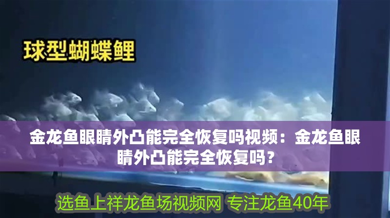 金龍魚眼睛外凸能完全恢復嗎視頻：金龍魚眼睛外凸能完全恢復嗎？