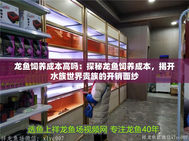 龍魚飼養(yǎng)成本高嗎：探秘龍魚飼養(yǎng)成本，揭開水族世界貴族的開銷面紗