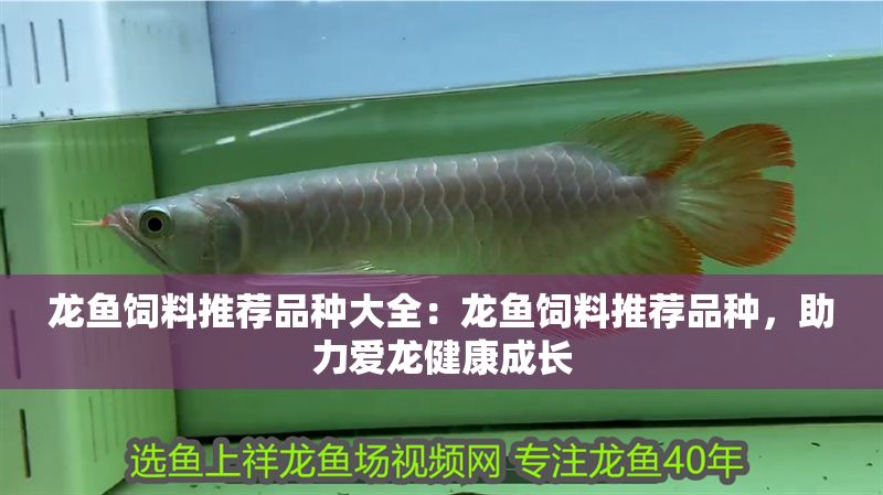龍魚飼料推薦品種大全：龍魚飼料推薦品種，助力愛龍健康成長