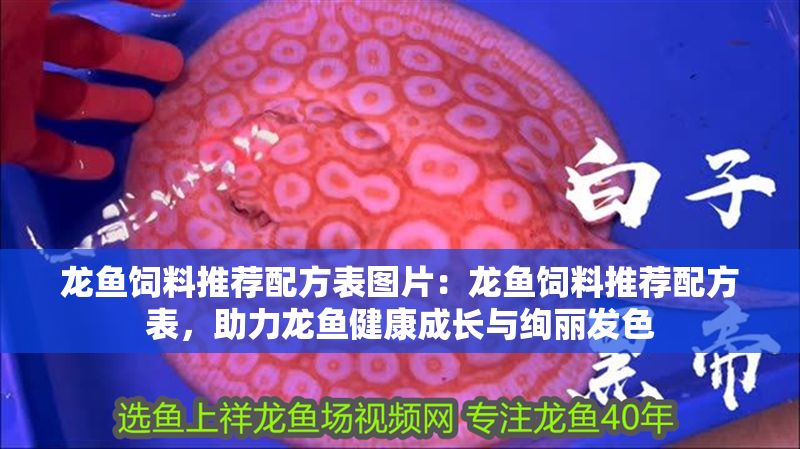 龍魚飼料推薦配方表圖片：龍魚飼料推薦配方表，助力龍魚健康成長與絢麗發色