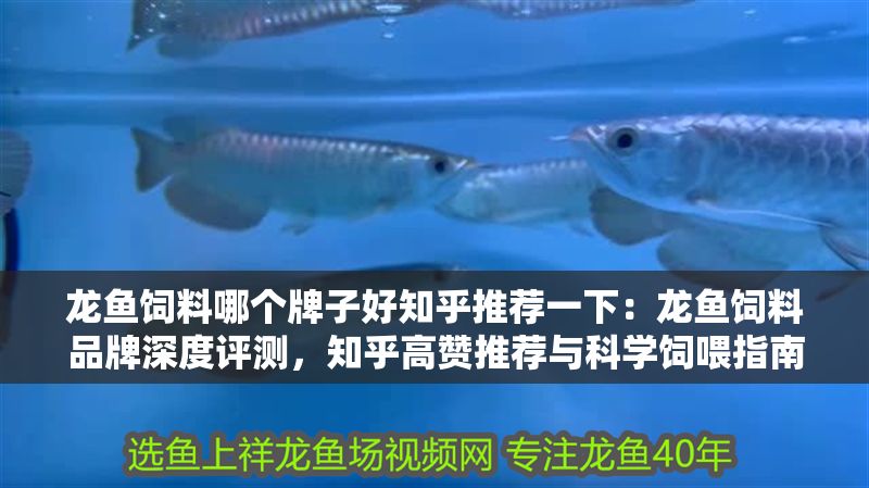 龍魚飼料哪個牌子好知乎推薦一下：龍魚飼料品牌深度評測，知乎高贊推薦與科學飼喂指南