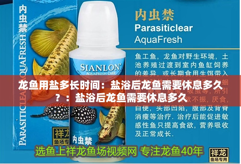 龍魚用鹽多長時間：鹽浴后龍魚需要休息多久？：鹽浴后龍魚需要休息多久