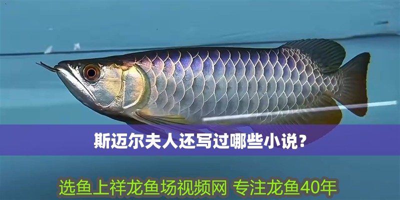 斯邁爾夫人還寫過哪些小說？