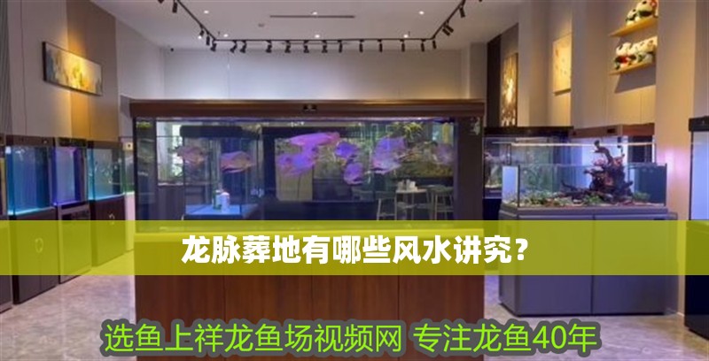 龍脈葬地有哪些風(fēng)水講究？