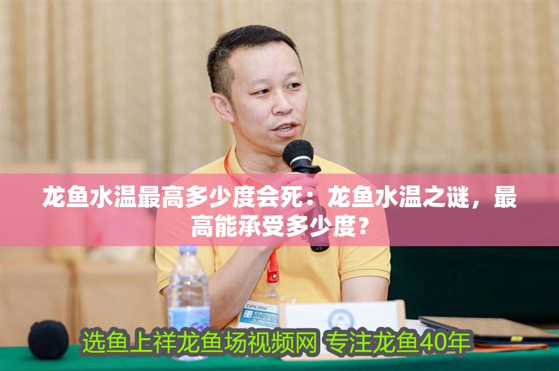 龍魚水溫最高多少度會死：龍魚水溫之謎，最高能承受多少度？