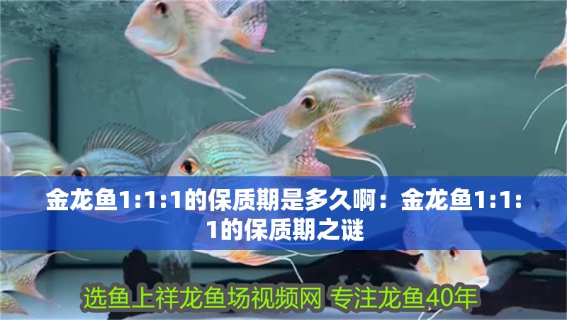金龍魚1:1:1的保質期是多久啊：金龍魚1:1:1的保質期之謎