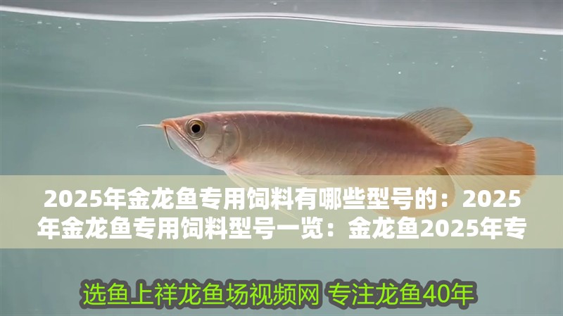 2025年金龍魚專用飼料有哪些型號的：2025年金龍魚專用飼料型號一覽：金龍魚2025年專用飼料型號