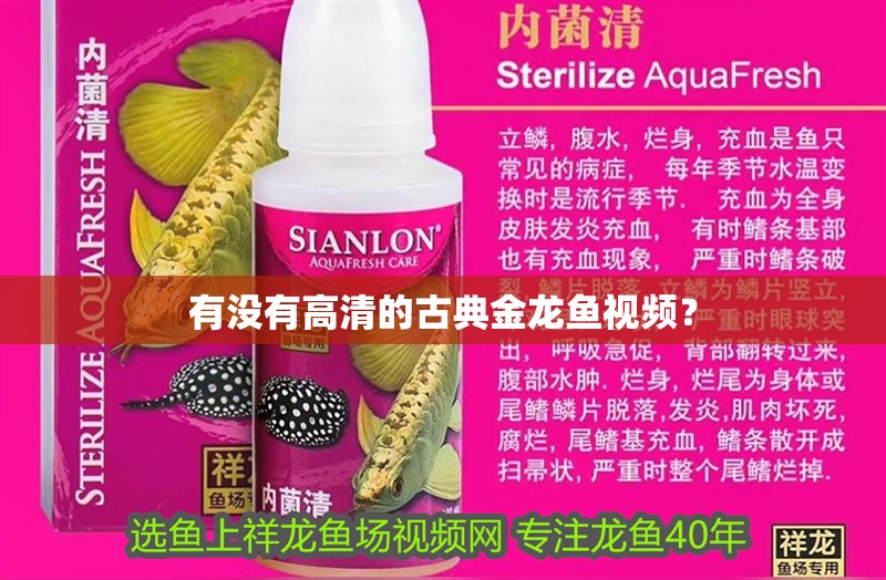 有沒有高清的古典金龍魚視頻？