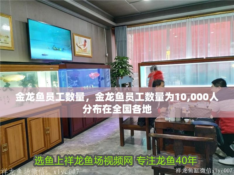 金龍魚員工數(shù)量，金龍魚員工數(shù)量為10,000人分布在全國(guó)各地