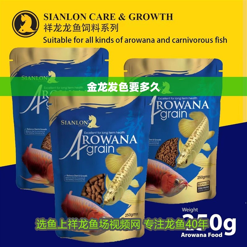 金龍發(fā)色要多久