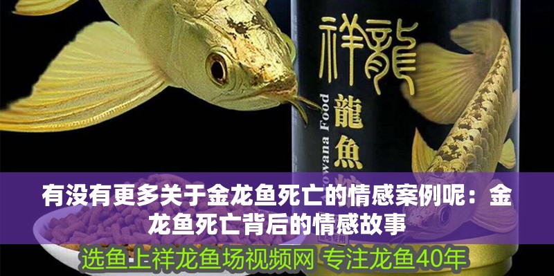 有沒有更多關于金龍魚死亡的情感案例呢：金龍魚死亡背后的情感故事