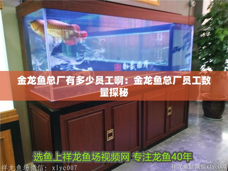 金龍魚總廠有多少員工啊：金龍魚總廠員工數(shù)量探秘