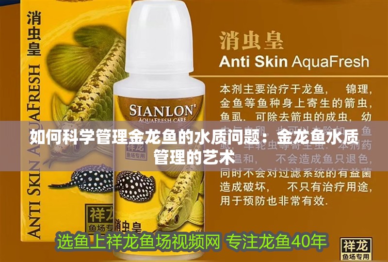 如何科學管理金龍魚的水質問題：金龍魚水質管理的藝術