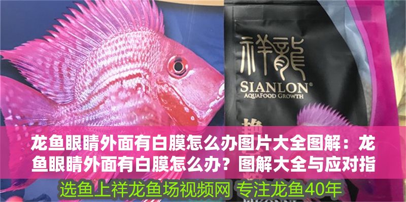 龍魚眼睛外面有白膜怎么辦圖片大全圖解：龍魚眼睛外面有白膜怎么辦？圖解大全與應(yīng)對指南