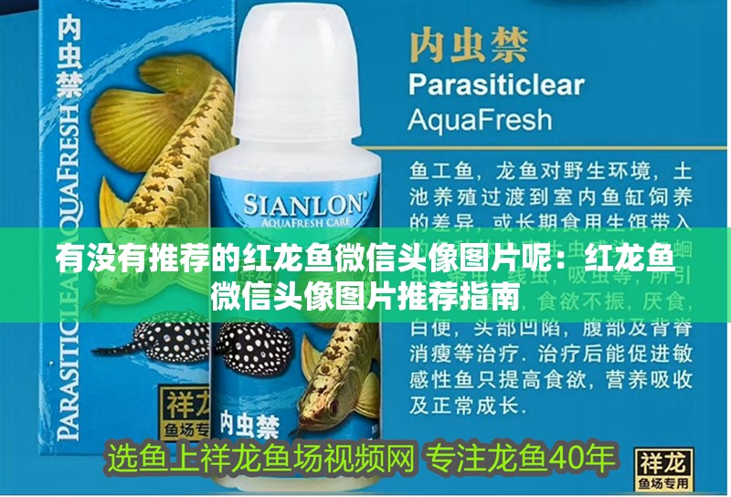 有沒有推薦的紅龍魚微信頭像圖片呢：紅龍魚微信頭像圖片推薦指南