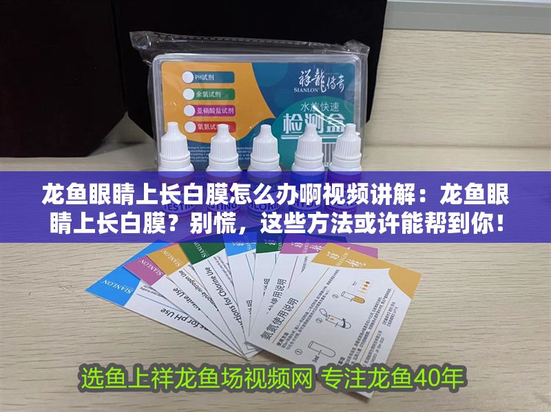 龍魚眼睛上長白膜怎么辦啊視頻講解：龍魚眼睛上長白膜？別慌，這些方法或許能幫到你！