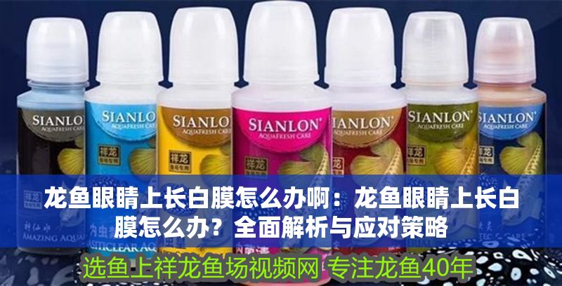 龍魚眼睛上長白膜怎么辦啊：龍魚眼睛上長白膜怎么辦？全面解析與應(yīng)對策略