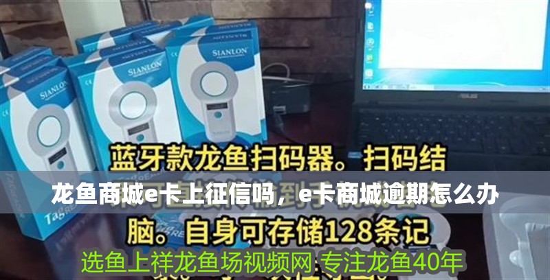 龍魚商城e卡上征信嗎，e卡商城逾期怎么辦