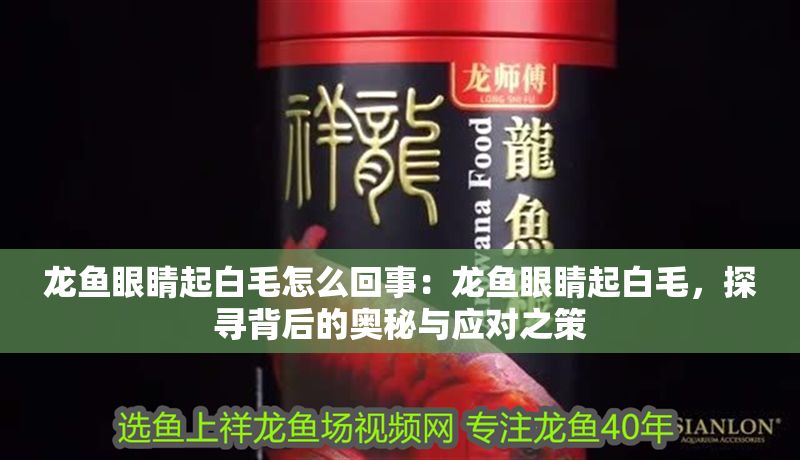 龍魚眼睛起白毛怎么回事：龍魚眼睛起白毛，探尋背后的奧秘與應(yīng)對之策