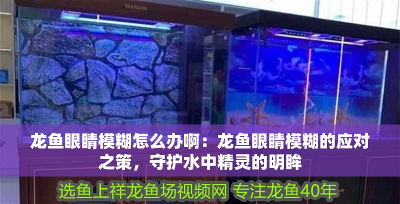 龍魚眼睛模糊怎么辦?。糊堲~眼睛模糊的應(yīng)對之策，守護(hù)水中精靈的明眸
