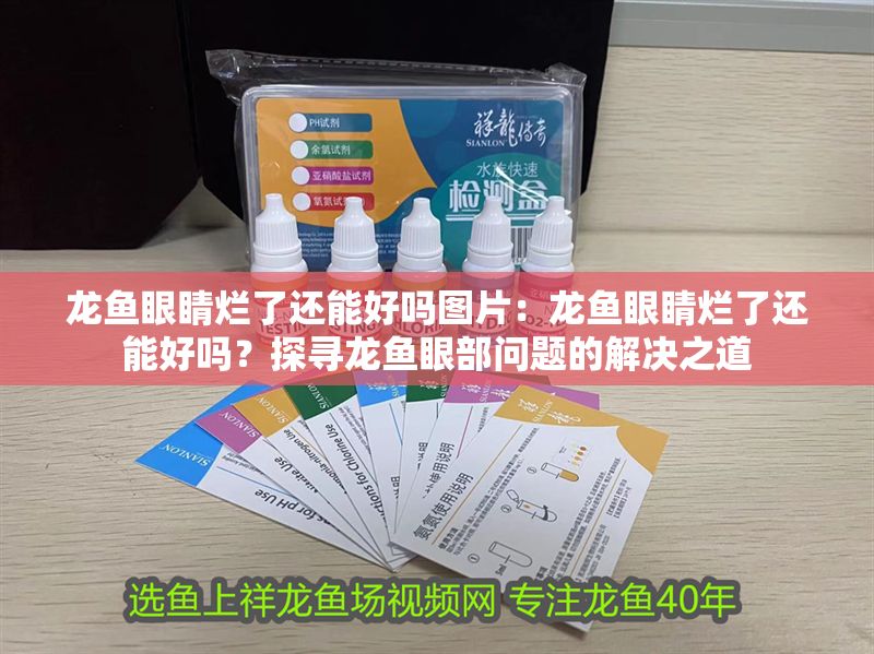 龍魚眼睛爛了還能好嗎圖片：龍魚眼睛爛了還能好嗎？探尋龍魚眼部問題的解決之道